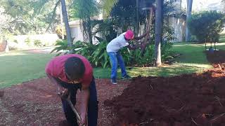 Finishing the garden plot finally (2)