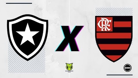 Botafogo 4 x 1 Flamengo (Melhores Momentos) #flamengo #botafogo #futebol #brasileirao