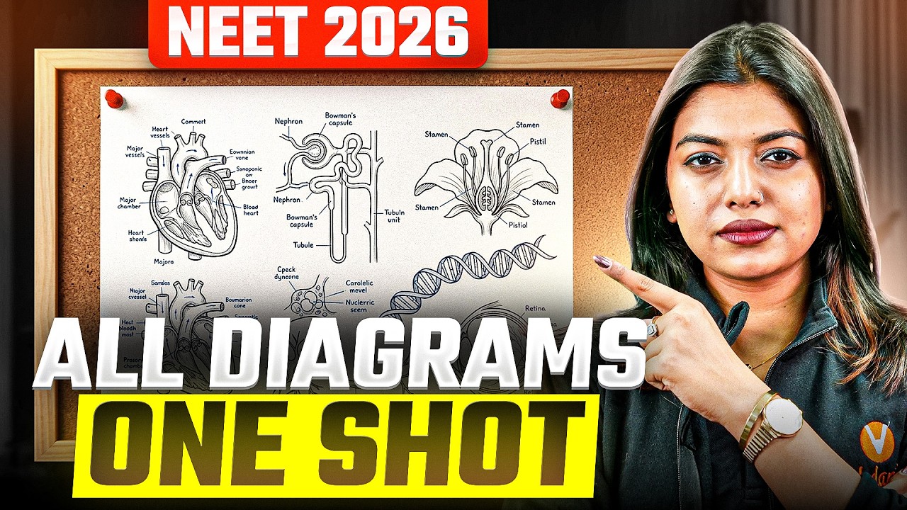All Biology Diagrams ONE SHOT | NEET 2026 (Detailed Explanation) 🩺 ...