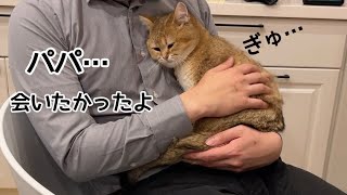 飼い主が早く帰宅したくなる理由はこれです…