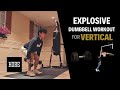 EXPLOSIVE Dumbbell Exercises to JUMP HIGHER! -  Vertical Jump