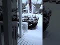 Saturday Winter Wonderland