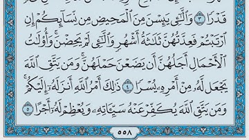 سورة الطلاق / فضيلة الشيخ صلاح البدير