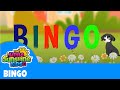 Miniature de la vidéo de la chanson Bingo