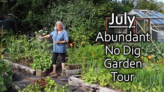 No Dig Organic Vegetable Garden in July – Intensive polycultures for daily yields