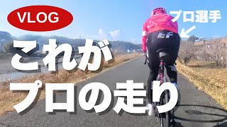 ティム・ケルン 写真集「The Peloton」自転車ロードレース mqdefault.jpg