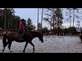 Different Kind | Equestrian sport |My video