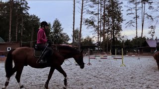 Different Kind | Equestrian sport |My video