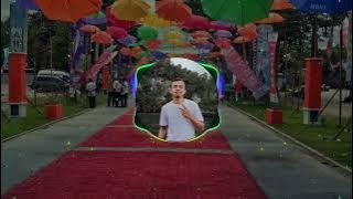 LAGU JOGET-PERAWAN DESA REMIX TERBARU 2024