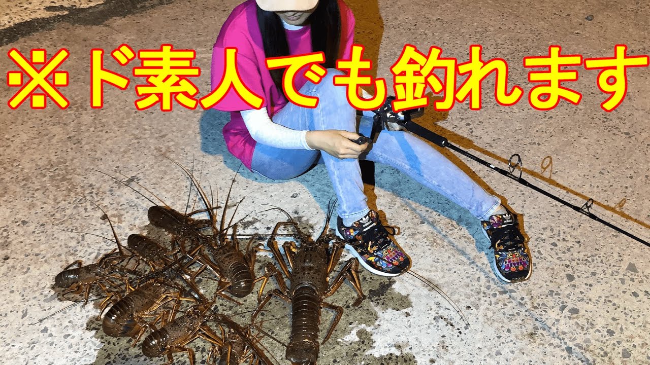 バスロッド 釣り竿 の選び方を徹底解説 バス釣り初心者さんへ 的youtube视频效果分析报告 Noxinfluencer