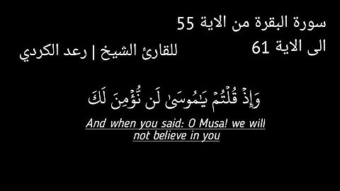 سورة البقرة من الاية 55 الى الاية 61 للقارئ الشيخ رعد الكردي | القرآن الكريم