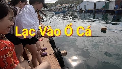 Câu Cá Giải Trí Câu Cá Biển Lạc Vào Ổ Cá..Cá Biển Cam Ranh | Cha Già Vlogs