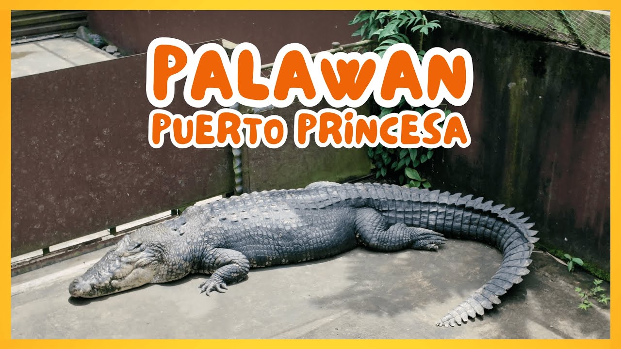A Few Hours in Puerto Princesa | Quick City Adventure!