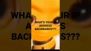 Bee Raising Eyebrows #shorts #memes