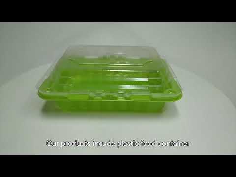 disposable trays for food，disposable plastic tray, disposable plastic container,Factory, Cheap,