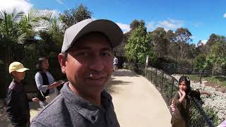 Sydney Zoo Tour ( সিডনি চিড়িয়াখানা ভ্রমণ)