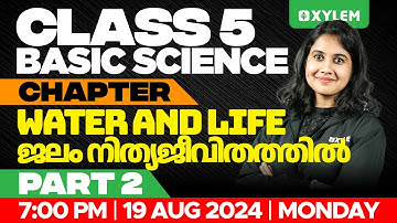 ക്ലാസ് 5 അടിസ്ഥാന ശാസ്ത്രം | Unit: Water And Life / ജലം നിത്യ ജീവിതത്തിൽ - ഭാഗം 2 | സൈലം ക്ലാസ് 5