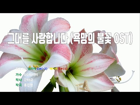 [은성 반주기] 그대를사랑합니다(욕망의불꽃OST) - SG워너비