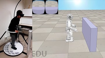 Locomotion and manipulation in a virtual world