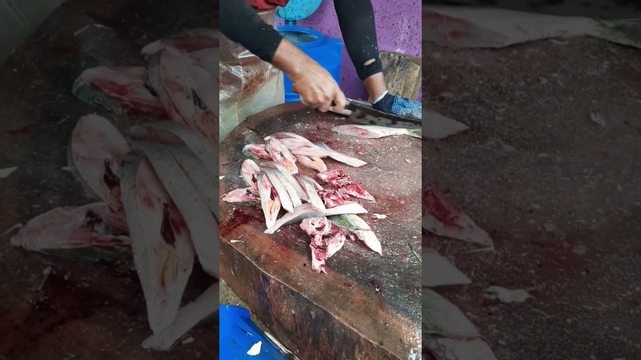 Bat fish cutting # fishing # seafood # fish market