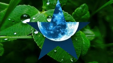 القارئ  سعد الغامدي ما تيسر من سورة الأنبياء