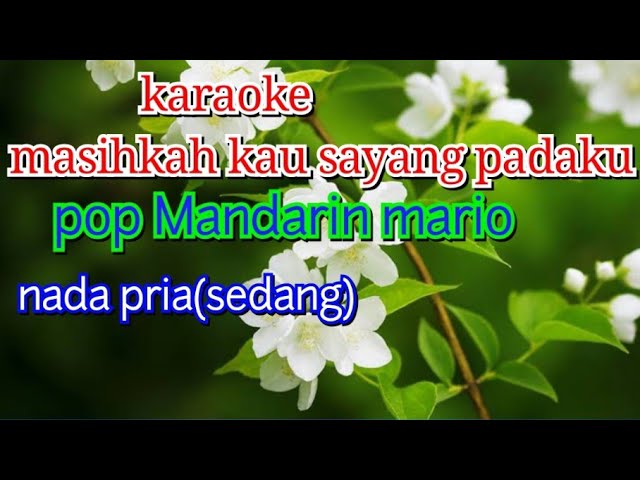 KARAOKE POP MANDARIN INDONESIA - MASIHKAH KAU SAYANG PADAKU 'MARIO' class=