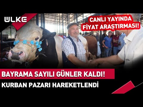 Vatandaşın Gözü Kurban Fiyatlarında! Kurban Pazarlarında Hareketlilik Başladı