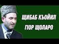 Щибаб къойил гIор щоларо