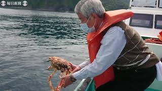 「孫にも食わせられるように増やそうと」タカアシガニ65匹放流　静岡・沼津