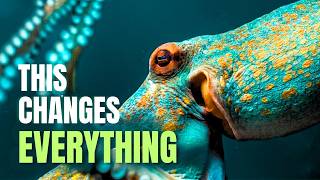We Were Wrong About Octopuses...Here's Why