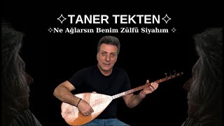 Ne Ağlarsın Benim Zülfü Siyahım Resimi