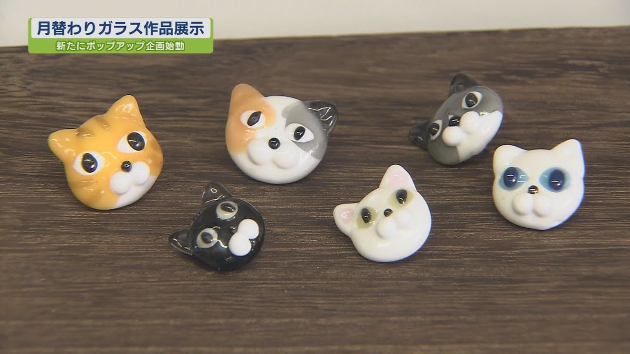 2月は「ねこ展」！ガラススタジオ月替わり企画始動【テレビトクシマ