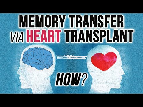 Can Memories Transfer After a Heart Transplant? The Strange Cases