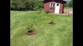 The Compost Connection