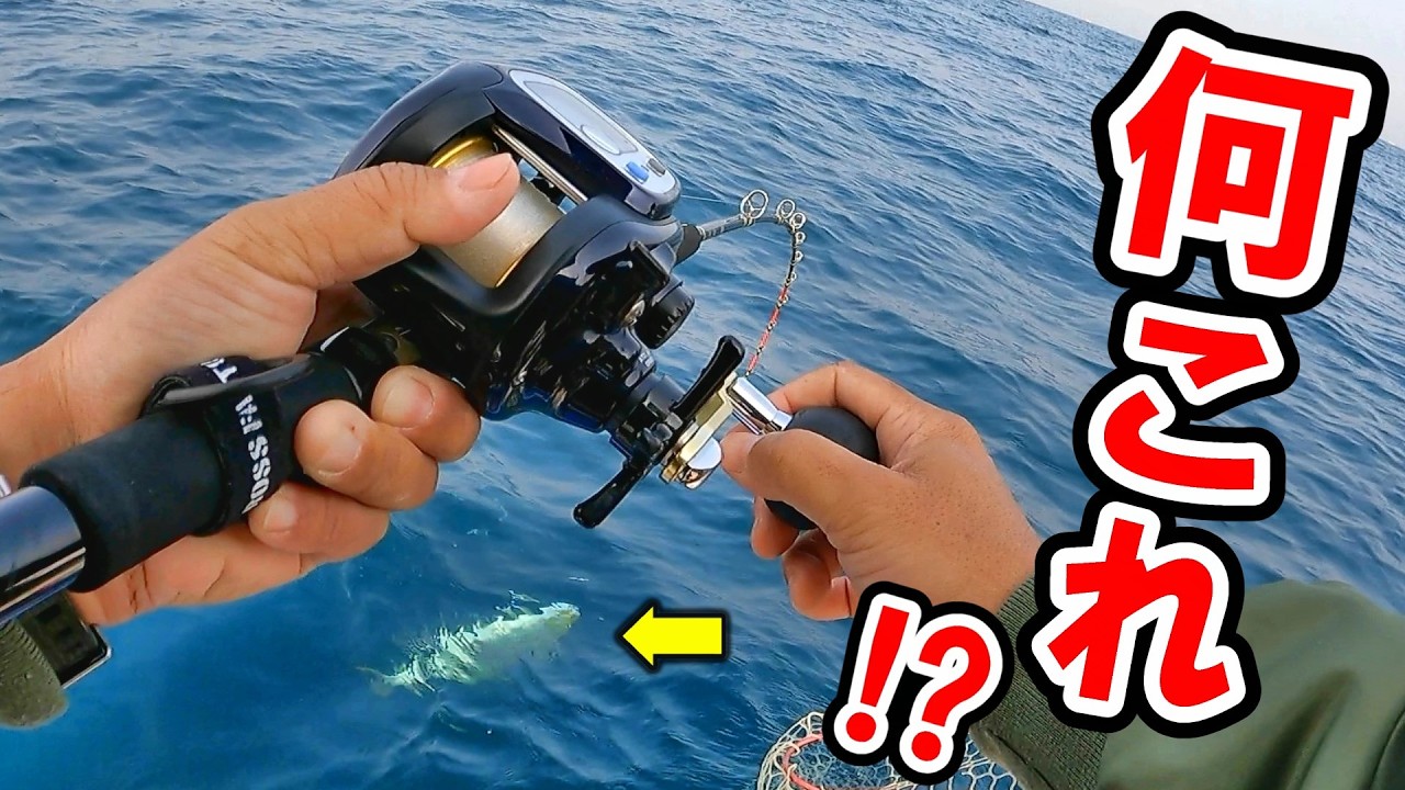 激渋の日でも一発ある…完全フカセで大型魚！