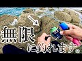 【穴釣り】超初心者向け。Daisoタックル穴釣り入門。/Traditional Japanese Rock Fishing with Budget Daiso Gear