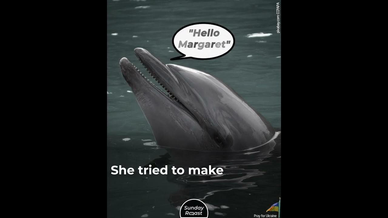 The Woman Who Had Sex with a Dolphin for Science