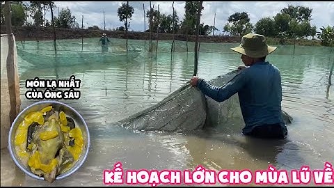 KẾ HOẠCH LỚN CHO MÙA LŨ NĂM NAY • Săn Bắt Miền Tây • Fishing | Bông Lúa Đồng Tháp