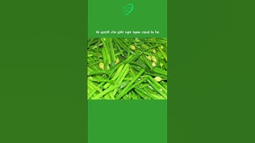 Bí quyết cho giấc ngủ ngon cùng lá hẹ, người khó ngủ phải biết