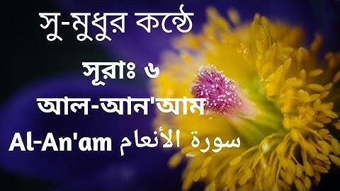 সূরাঃ ৬ আল-আন'আম  Al-An'am سورة الأنعام আয়াতঃ ১৬৫ মাক্কী