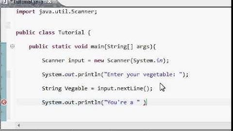 Java SE 7.0: Getting Data From User (Console Application)
