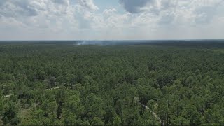 JFRD: Brush fire impacting over 100 acres in Bartram Park area Wednesday