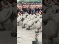 Trending العراق Funny اشترك في القناه وشكرا Animals Trending العراق Funny اشترك في القناه وشكرا Animals