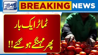 Vegetable &amp; Fruit Prices Skyrocket Across Punjab | Market Rates Update | Lahore News HD