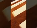 DexFilmz Online Store https://dexfilmz.theshop.jp/ #DexFilmz #shorts