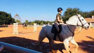 Rachel Robbins showing Kramer at GOHJA Horse Show, Clarcona Horse Park, Apopka, Fl