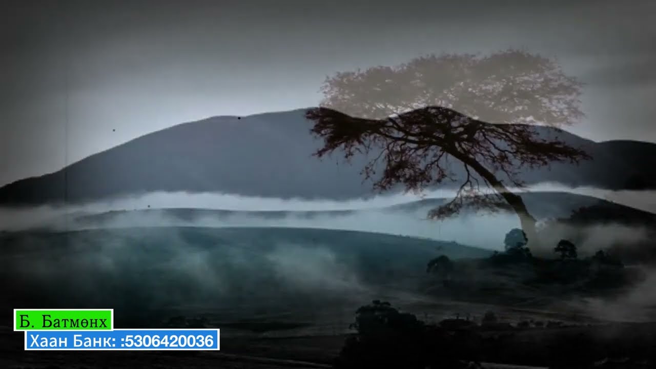 Австралид байх Хар уул ба Хөх уул …. Америкт байх Хар уул ба Цагаан уул…. Тэнд юу болоод байна?!