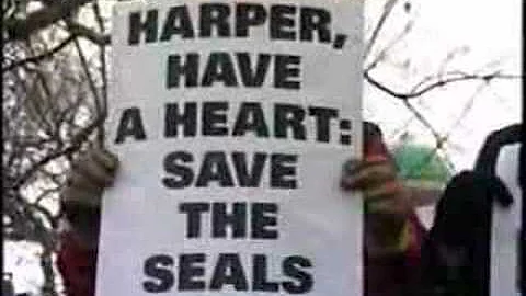 Calgary Seal Hunt Protest - March 15th, 2008