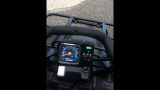 1999 Suzuki Quad runner 250 overview
