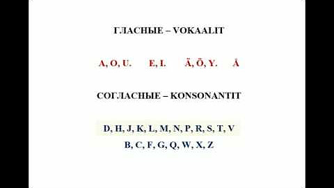 Taso A1.1. (Beginner / начинающий)